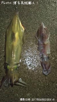 ���󥵥�����