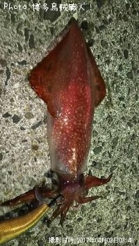 ���󥵥�����