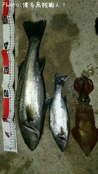 ���󥵥�����