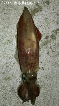 ���󥵥�����