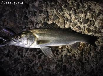 �����Х�