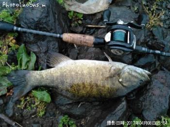 �֥�å��Х�