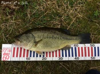 �֥�å��Х�