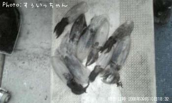 ¥¢¥ª¥ê¥¤¥«