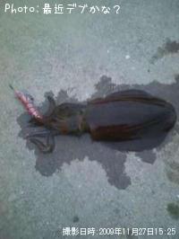 �����ꥤ��