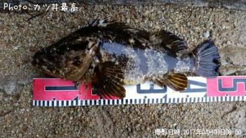 �����Υ���Х�