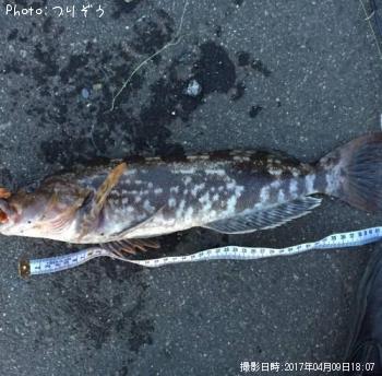 �����ʥ�