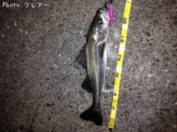 �����Х�