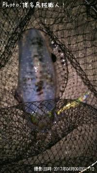 �����ꥤ��