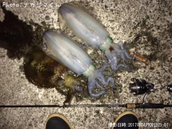 �����ꥤ��