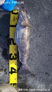 �����ʥ�