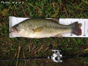 ¥Ö¥é¥Ã¥¯¥Ð¥¹