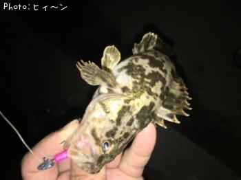 �����Υ���Х�