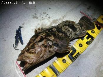 �����Υ���Х�