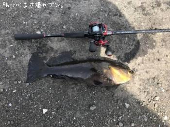 �����ʥ�