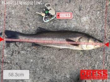 �����Х�