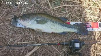 �֥�å��Х�