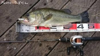 �֥�å��Х�