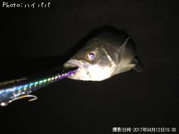 �����Х�