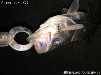 �����Х�