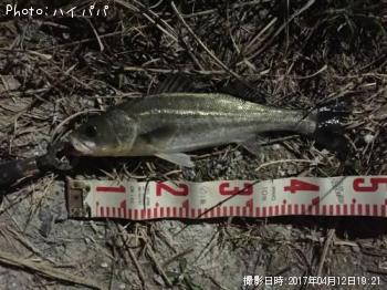 �����Х�