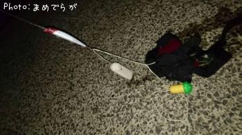 ���쥯�ȥꥫ��ѥ졼�ɡ���