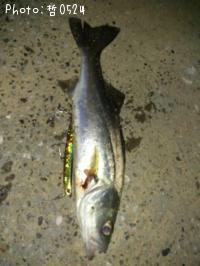 �����Х�