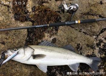 �����Х�