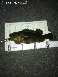 �����Υ���Х�