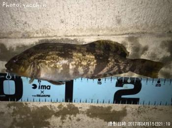 �����ʥ�