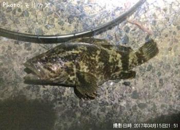 �����Υ���Х�