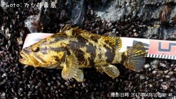 �����Υ���Х�