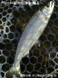 ���ĥ��ޥ�