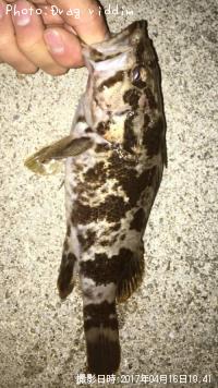 �����Υ���Х�