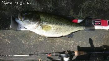 �֥�å��Х�