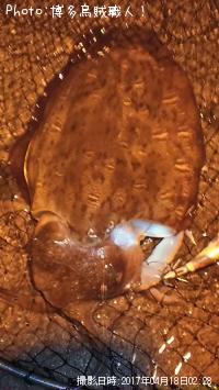 ���ߥʥꥤ��