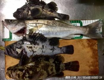 �����Х������������������Υ���Х�