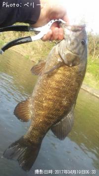 ���⡼��ޥ����Х�