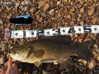 ���⡼��ޥ����Х�