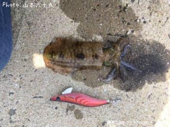 �����ꥤ��