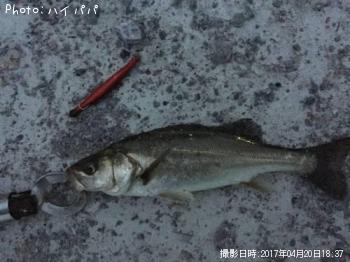 �����Х�