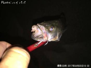 �����Х�