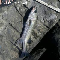 �����Х�