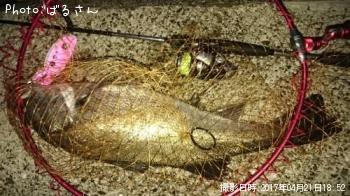 �����Х�