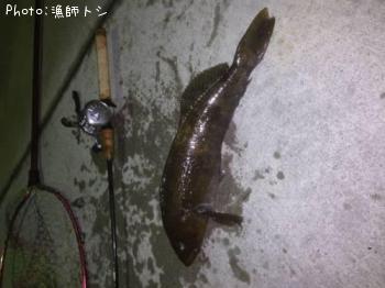 �����ʥ�