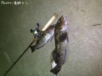 �����ʥ�