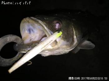 �����Х�