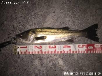 �����Х�