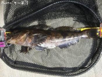 �����ʥ�