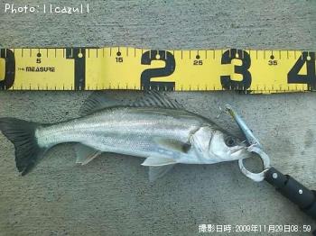 �����Х�